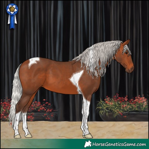 Horse Color:Silver Brown Tobiano 