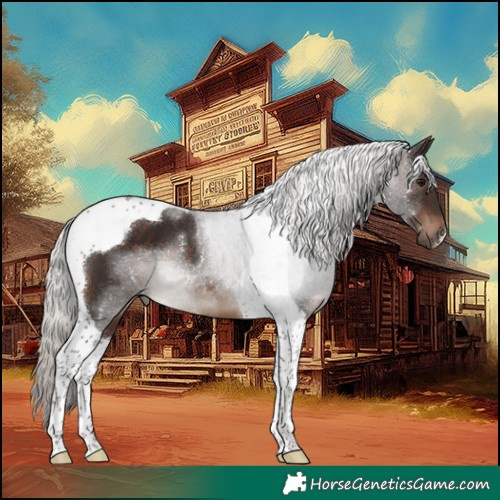 Horse Color:Silver Brown Tobiano 