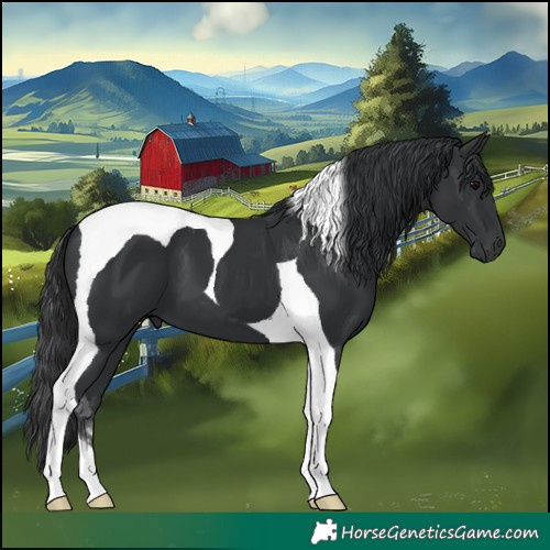 Horse Color:Black Tobiano 