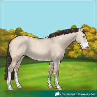 Horse Color:Amber Champagne Dun Sabino 