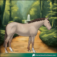 Horse Color:Classic Champagne Dun 