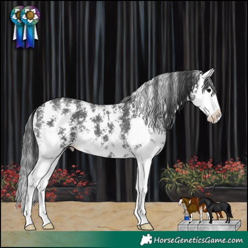 Horse Color:Black Sabino Splash 