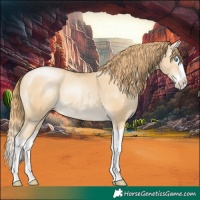 Horse Color:Smoky Black Pearl Splash 