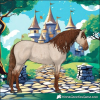 Horse Color:Red Dun Roan 