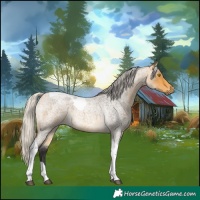 Horse Color:Silver Buckskin Roan Tobiano