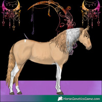 Horse Color:Red Dun Tobiano 