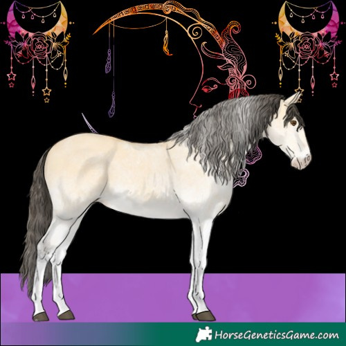 Horse Color:White Spotted Buckskin Dun 
