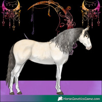 Horse Color:White Spotted Buckskin Dun 