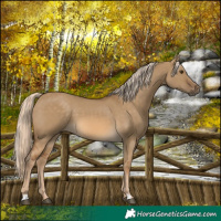 Horse Color:Chocolate Palomino Dun 