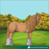 Horse Color:Chestnut Tobiano 