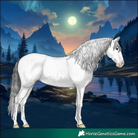 Horse Color:Brown Dun Sabino Rabicano