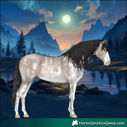 Horse Color:Brown Dun Sabino Rabicano 