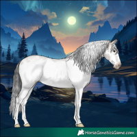 Horse Color:White Spotted Brown Dun Sabino Frame Rabicano