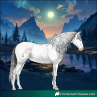 Horse Color:White Spotted Brown Dun Splash Tobiano Rabicano
