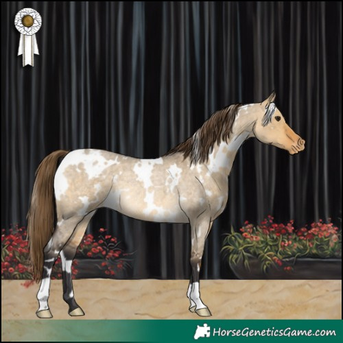 Horse Color:White Spotted Buckskin Roan Dun Appaloosa Rabicano