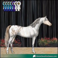 Horse Color:White Spotted Buckskin Roan Dun Appaloosa Rabicano