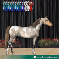 Horse Color:White Spotted Buckskin Roan Dun Varnish Rabicano