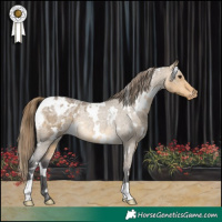 Horse Color:White Spotted Buckskin Roan Dun Appaloosa Rabicano 