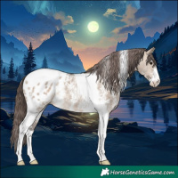 Horse Color:Brown Dun Sabino Tobiano Appaloosa Rabicano 
