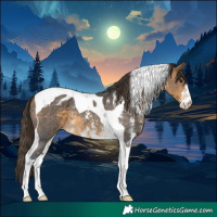 Horse Color:Buckskin Sabino Tobiano Appaloosa Rabicano 