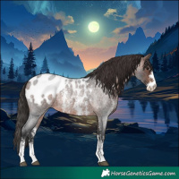 Horse Color:Brown Roan Sabino Blanket Rabicano 