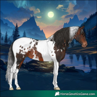Horse Color:White Spotted Brown Tobiano Blanket Rabicano 