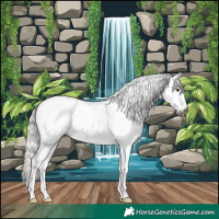 Horse Color:Gray Silver Brown Dun Sabino Rabicano