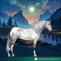 Horse Color:Gray White Spotted Grullo Rabicano 