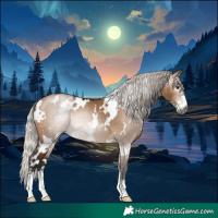 Horse Color:Gray White Spotted Silver Brown Dun Sabino 