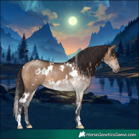 Horse Color:White Spotted Brown Dun Rabicano 