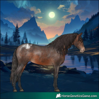 Horse Color:Brown Appaloosa Rabicano 