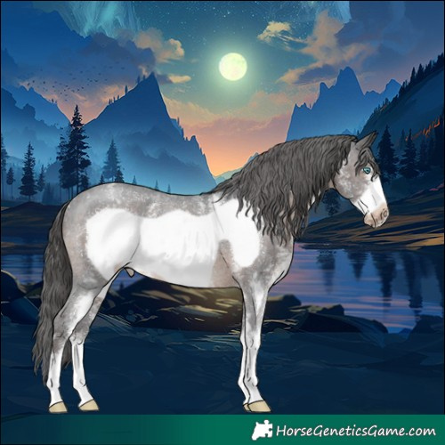Horse Color:Brown Sabino Frame Varnish Rabicano 