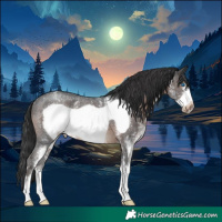 Horse Color:Brown Sabino Frame Appaloosa Rabicano 