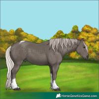 Horse Color:Silver Black Tobiano 
