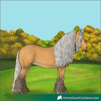 Horse Color:Silver Buckskin