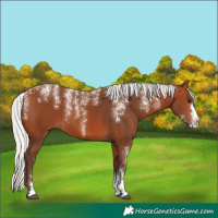 Horse Color:Powder White Silver Bay 
