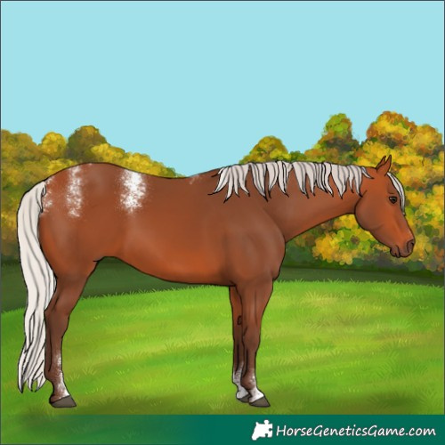 Horse Color:Powder White Silver Bay 