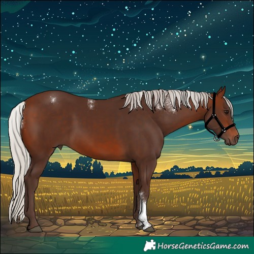 Horse Color:Powder White Silver Brown 