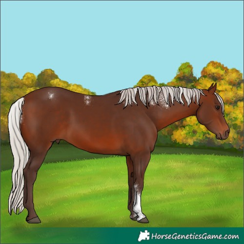 Horse Color:Powder White Silver Brown 