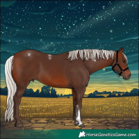 Horse Color:Powder White Silver Brown