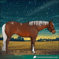 Horse Color:Powder White Silver Brown 