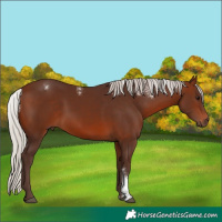 Horse Color:Powder White Silver Brown 