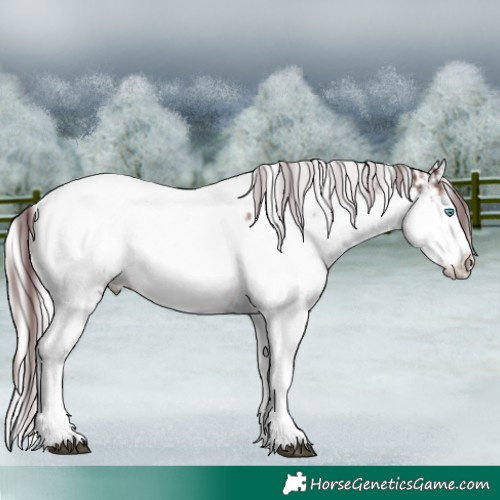 Horse Color:White Spotted Chocolate Brown Sabino Splash Near Fewspot  and Liver Chestnut Chinchilla Mushroom Splash Tobiano 