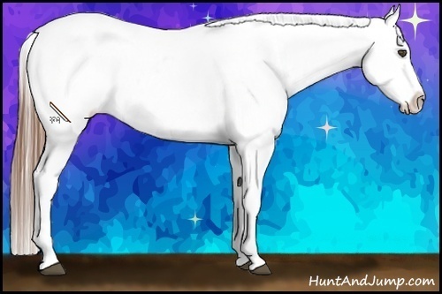 Horse Color:Smoky Grullo Roan Near Leopard