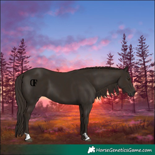 Horse Color:Liver Chestnut  and Liver Chestnut 