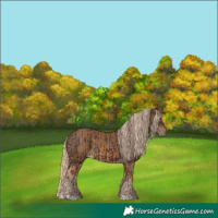 Horse Color:Liver Chestnut and Chocolate Palomino