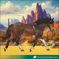 Horse Color:Bay Tobiano 