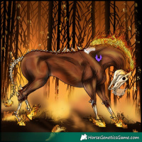 Horse Color:Chestnut Tobiano