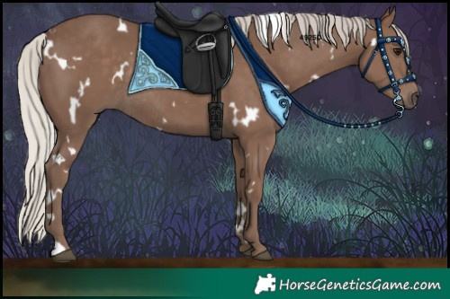 Horse Color:White Spotted Silver Black Rabicano