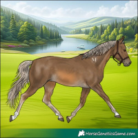 Horse Color:Chocolate Palomino 